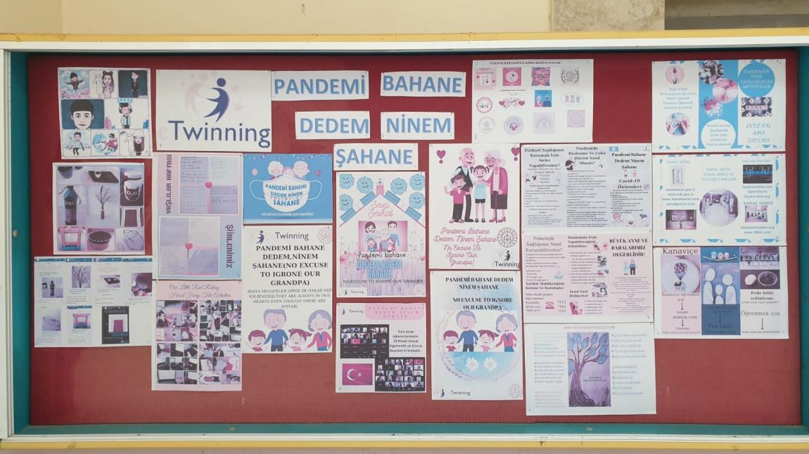 Pandemi Bahane Dedem Ninem Şahane eTwinning Projemiz Okul Panomuz
